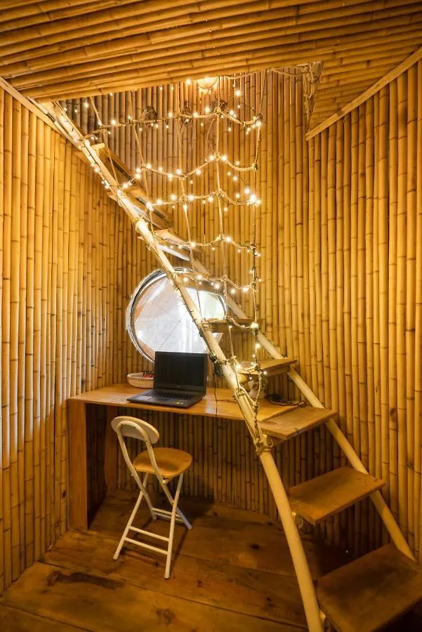 Cocohut Hoi An Homestay 0*,  Vietnam