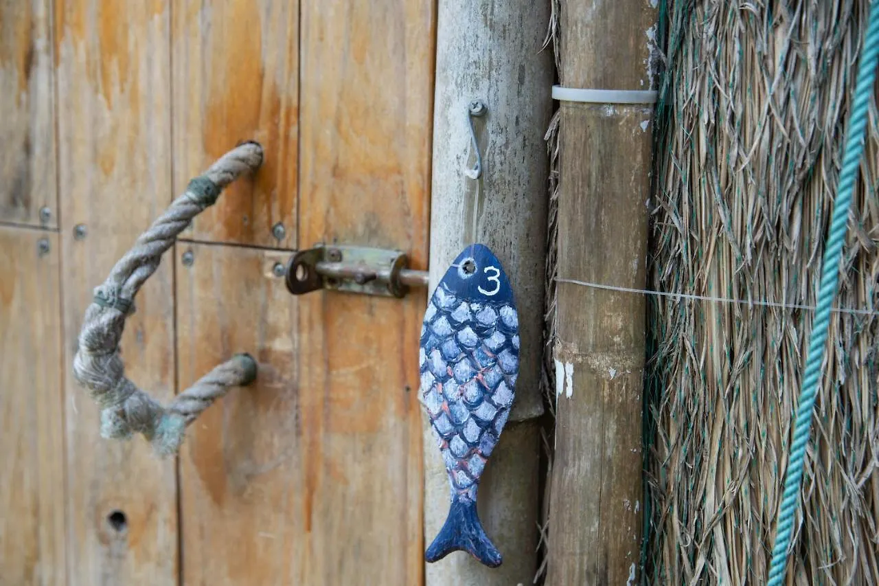 Cocohut Hoi An Homestay Vietnam